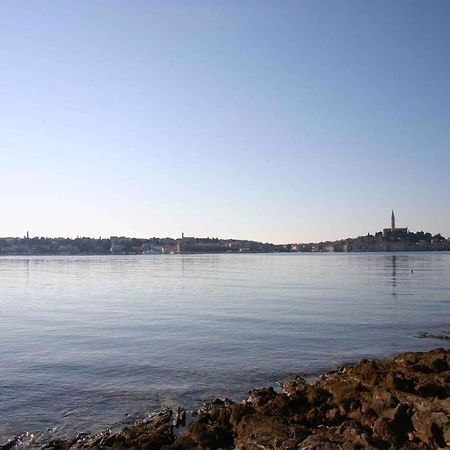 Apartment In Rovinj/Istrien 11533 외부 사진