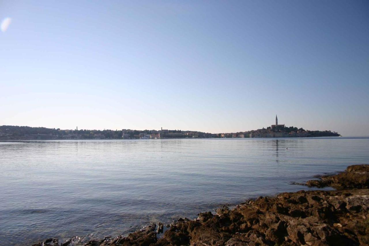 Apartment In Rovinj/Istrien 11533 외부 사진
